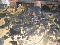 bild (7)